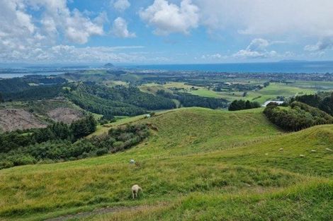 Photo of property in 15 Times Avenue, Papamoa, 3118