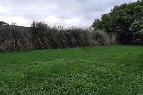 Photo of property in 97-99 Dublin Street, Martinborough, 5711