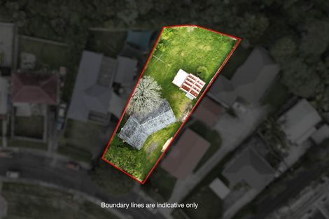 Photo of property in 38 Titoki Street, Te Atatu Peninsula, Auckland, 0610