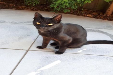 Photo of property in 9 Bowers Lane, Motueka, 7120