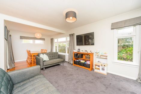 Photo of property in 118 Pahiatua Street, Hokowhitu, Palmerston North, 4410