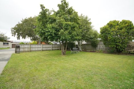 Photo of property in 17 David Street, Hawthorndale, Invercargill, 9810