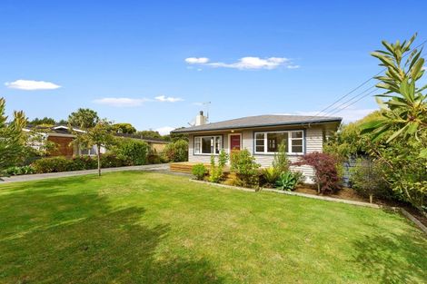 Photo of property in 16 Lemon Street, Otaki, 5512