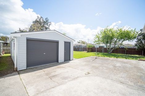 Photo of property in 655 Featherston Street, Roslyn, Palmerston North, 4414