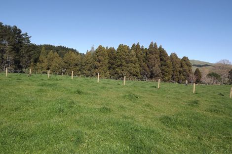 Photo of property in 9 Mangakino Road, Raglan, 3295