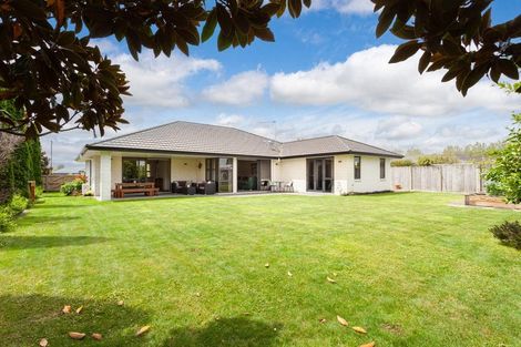 Photo of property in 3 Kelso Place, Matamata, 3400
