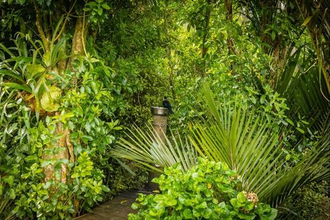 Photo of property in 36 Albany Heights Road, Albany Heights, Albany, 0792