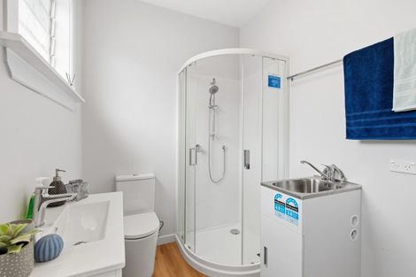 Photo of property in 52 Miro Street, Miramar, Wellington, 6022