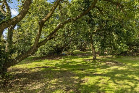 Photo of property in 429 Omanawa Road, Omanawa, Tauranga, 3171