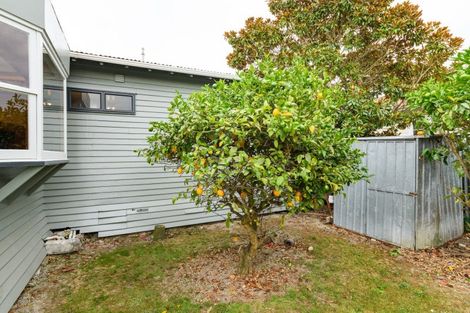 Photo of property in 9 Burns Avenue, Takaro, Palmerston North, 4412