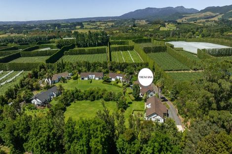 Photo of property in 3/121 Rea Road, Tahawai, Katikati, 3178