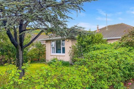 Photo of property in 294 Opawa Road, Hillsborough, Christchurch, 8022