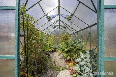 Photo of property in 69 Frederick Street, Carterton, 5713