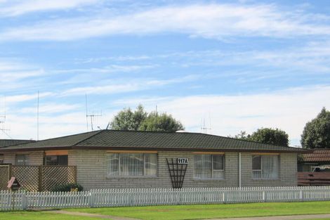 Photo of property in 117 Chapel Street, Otumoetai, Tauranga, 3110