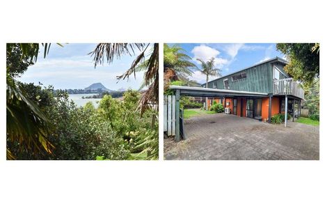 Photo of property in 64b Tutauanui Crescent, Maungatapu, Tauranga, 3112