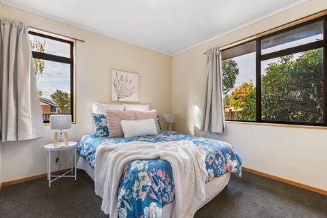 Photo of property in 28 Antimony Crescent, Cromwell, 9310