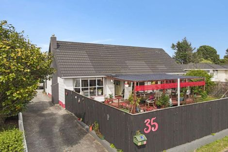 Photo of property in 35 Strathmore Avenue, Levin, 5510