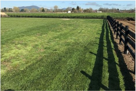 Photo of property in 24 Eldonwood Drive, Matamata, 3400