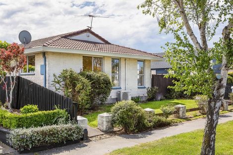 Photo of property in 1/12 Shannon Place, Belfast, Christchurch, 8051