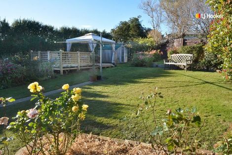 Photo of property in 113 Caldwell Street, Brockville, Dunedin, 9011