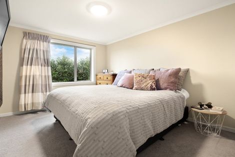 Photo of property in 17 Fingall Street, South Dunedin, Dunedin, 9012