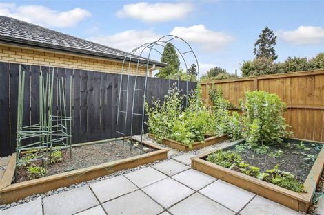 Photo of property in 24 Sapling Drive, Pukekohe, 2120