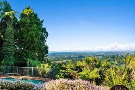 Photo of property in 851 Scenic Drive, Swanson, Henderson, 0781