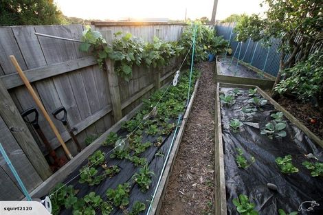 Photo of property in 163a Pembroke Street, Westown, New Plymouth, 4310