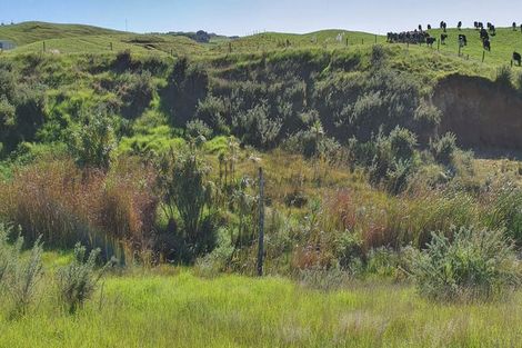 Photo of property in 247 Kaihau Road, Karioitahi, Waiuku, 2683