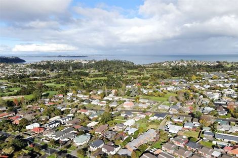 Photo of property in 14 Akehurst Avenue, New Lynn, Auckland, 0600