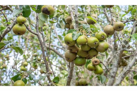 Photo of property in 3 Crackerjack Crescent, Kerikeri, 0293