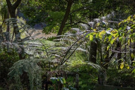 Photo of property in 29 Riverbank Road, Okoia, Whanganui, 4573