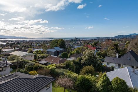 Photo of property in 4 Farnham Drive, Richmond, 7020