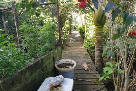 Photo of property in 15 Puriri Place, Tuateawa, Coromandel, 3583