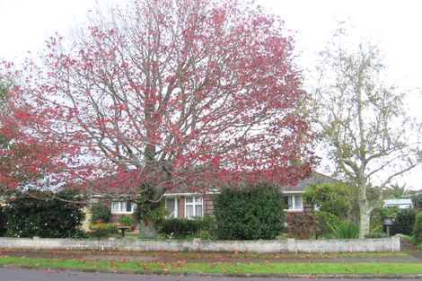 Photo of property in 44 Glen Avenue, Papatoetoe, Auckland, 2025