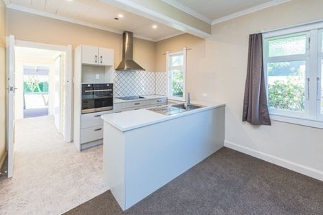 Photo of property in 51 Helmore Street, Whanganui East, Whanganui, 4500