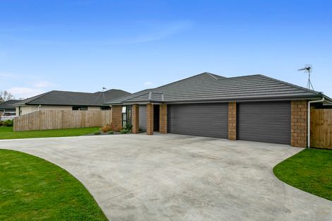 Photo of property in 5 Moroney Place, Matamata, 3400
