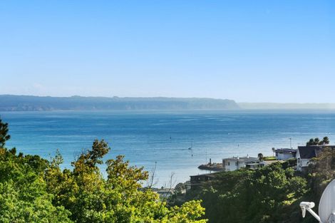 Photo of property in 11 Coleman Terrace, Hospital Hill, Napier, 4110