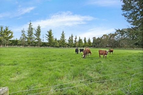 Photo of property in 655 Mclaughlins Road, Darfield, 7571