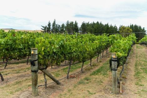 Photo of property in 3760 State Highway 50, Maraekakaho, 4171