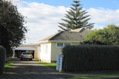 Photo of property in 21 Parsons Avenue, Levin, 5510