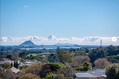 Photo of property in 42 Pinkerton Place, Ohauiti, Tauranga, 3112
