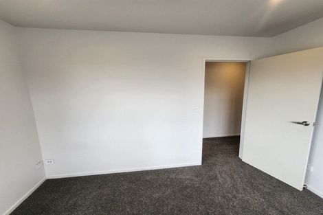 Photo of property in 81 Strathmore Avenue, Levin, 5510