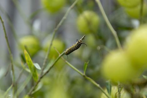 Photo of property in 74 Hamurana Road, Omokoroa, 3114