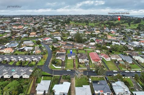 Photo of property in 50 Webster Avenue, Mount Roskill, Auckland, 1041