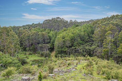 Photo of property in 259 Diggers Valley Road, Herekino, Kaitaia, 0481