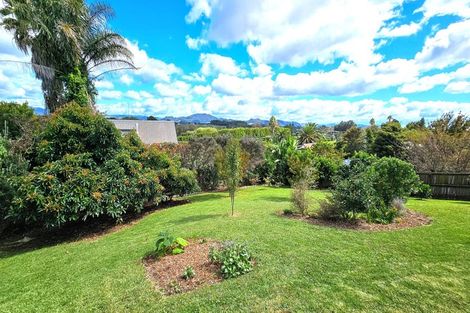 Photo of property in 29 Princes Street, Tahawai, Katikati, 3170