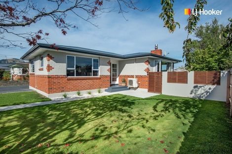 Photo of property in 11 Tyne Street, Roslyn, Dunedin, 9010