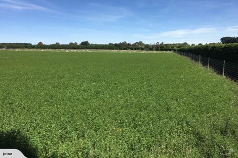 Photo of property in 118 Mairaki Road, Fernside, Rangiora, 7471