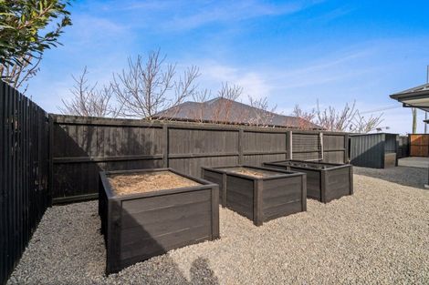 Photo of property in 87 Edward Street, Lincoln, 7608